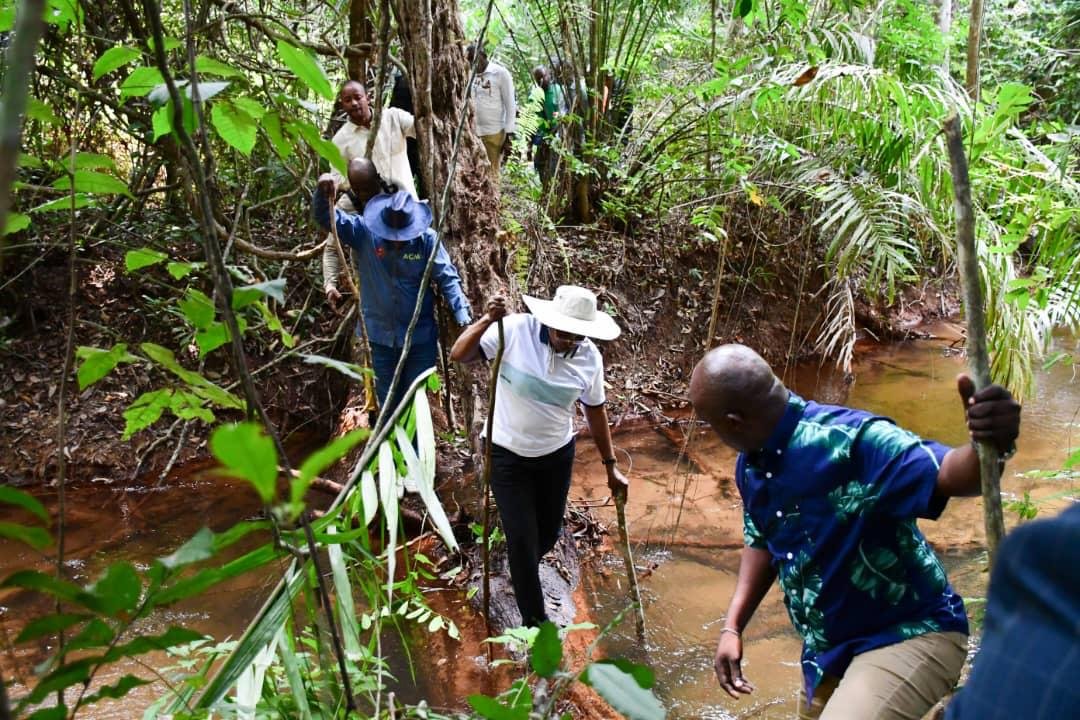 WhatsApp Image 2025-12-01 at 13.27.17